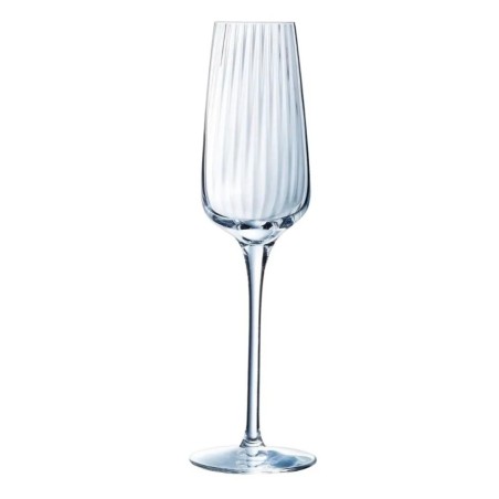 Copas de champán Symetrie | 21 cl | 24 uds