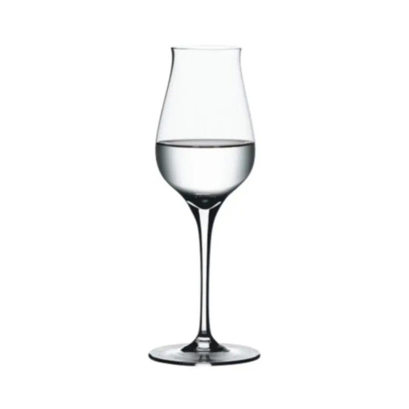 Copa licor Spiegelau Authentis 17 cl (12 uds) | Hostelería | Alium Pro