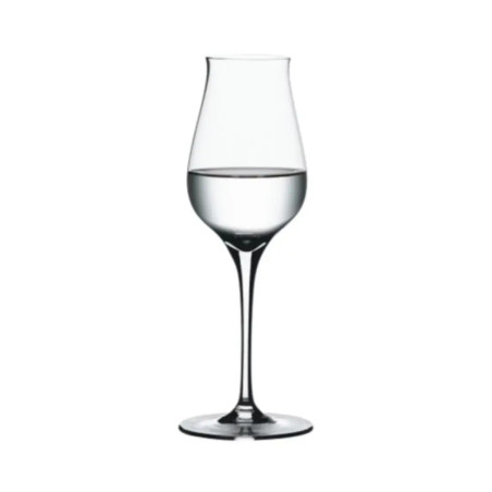 Copa licor Spiegelau Authentis 17 cl (12 uds) | Hostelería | Alium Pro