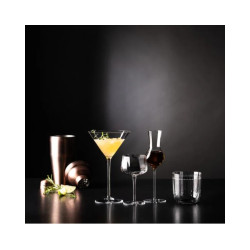 Copa grappa Zwiesel Enoteca 10 cl | Handmade Tritan | Alium Pro | 2 ud