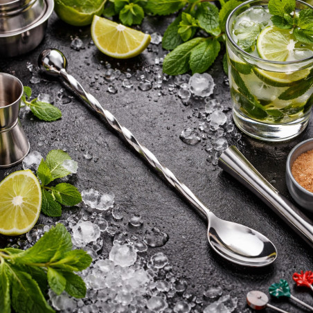 2) Metatítulo SEO  Cuchara batidora rizada 28 cm | Coctelería profesio