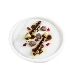 Molde silicona castaña profesional | Chesnut SilicoMold | Restauración