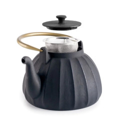 Tetera hierro fundido Yunnan 1L con filtro | Hostelería