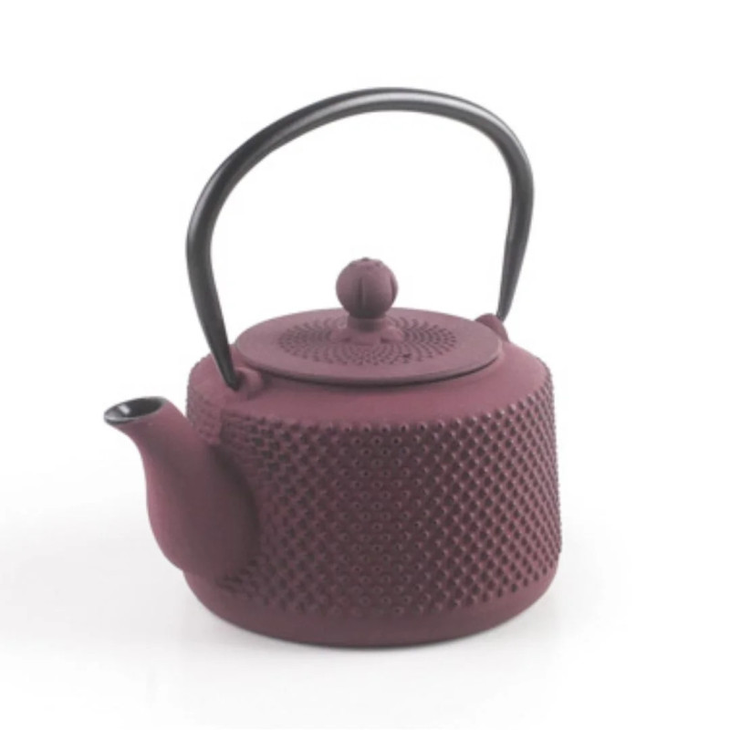 Tetera hierro fundido Yunan 0,8L con filtro inox