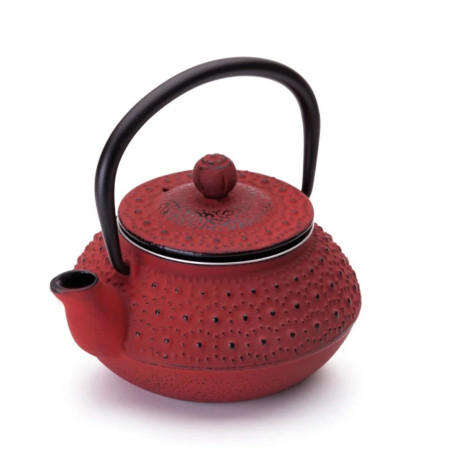 Tetera hierro fundido Hanoi 0,3L con filtro inox