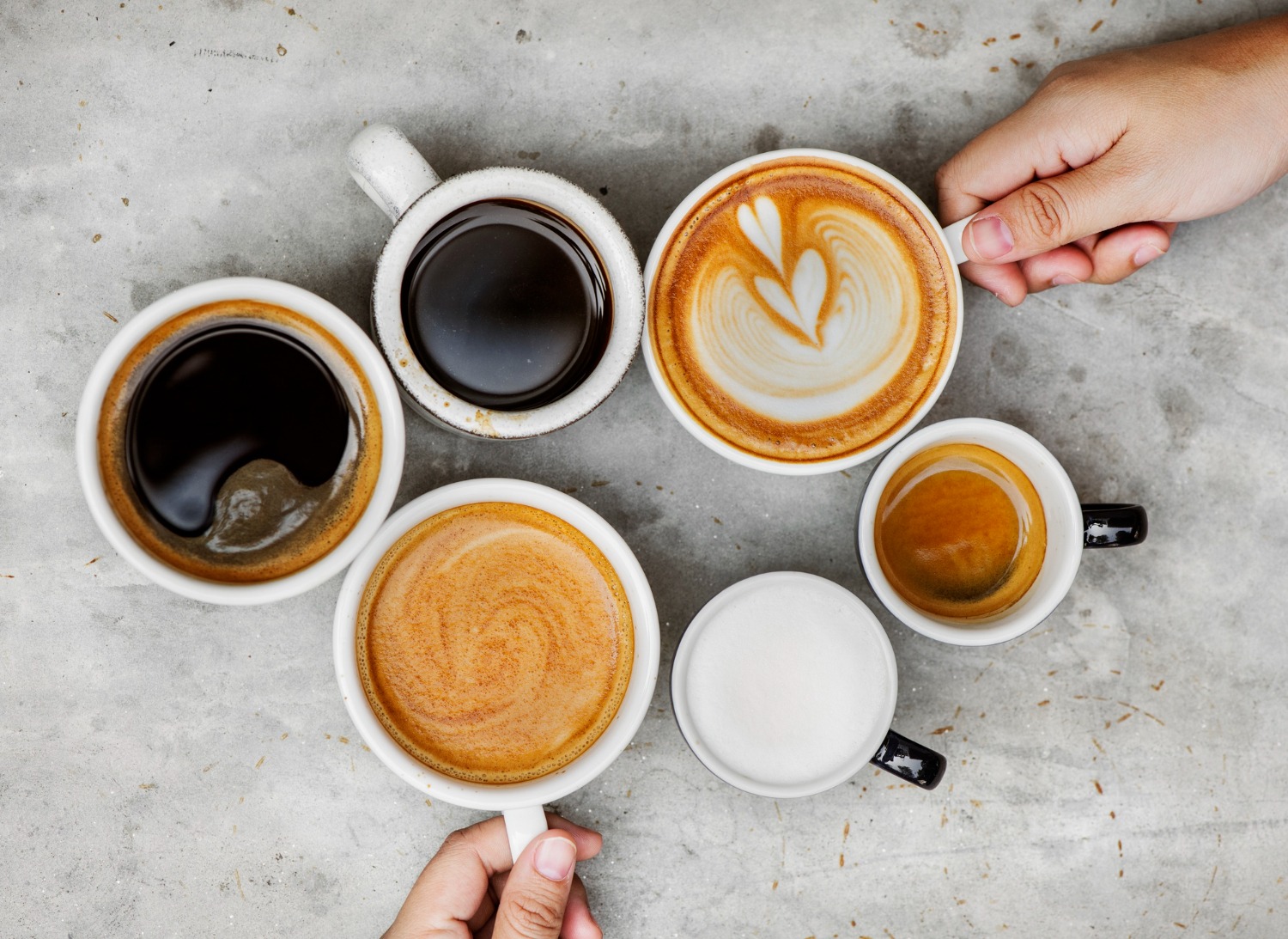 Guía sobre los tipos de café en un bar 